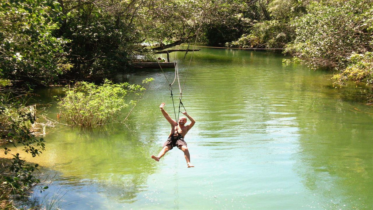 Tree Planting In Cabins foto 2