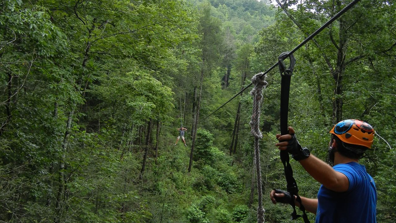 Tree Planting In Cabins foto 4