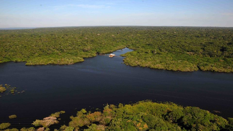 Alligator Watching And Piranhas Fishing foto 5