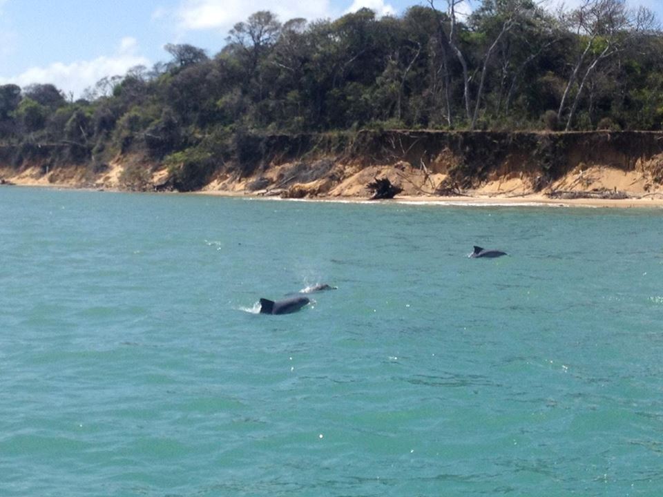 Barco Solemio Guaraíras Laguna Tour foto 4