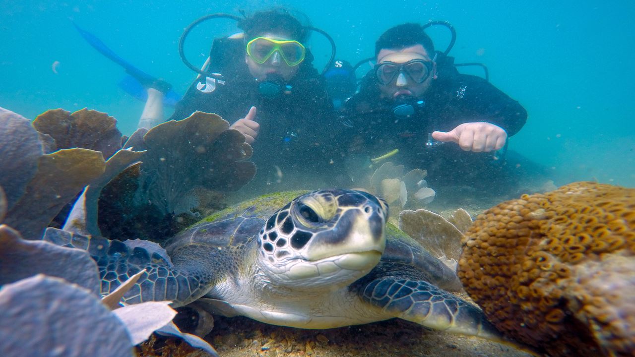 Diving Baptism In Búzios foto 2