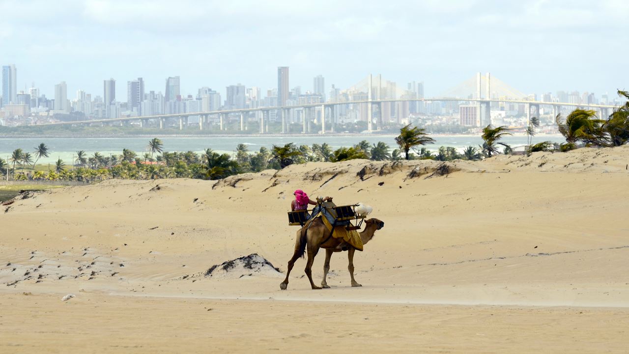 Tour De Buggy A Genipabu foto 16