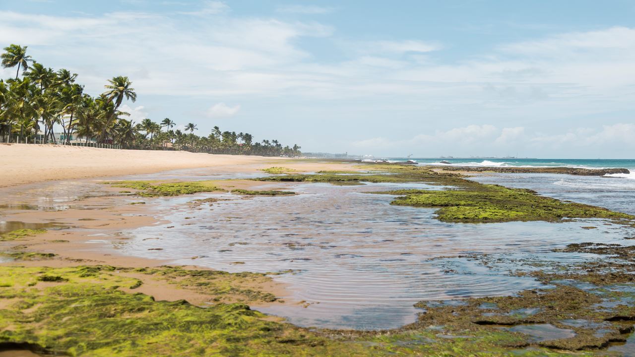 Buggy Tour Around Porto De Galinhas foto 6
