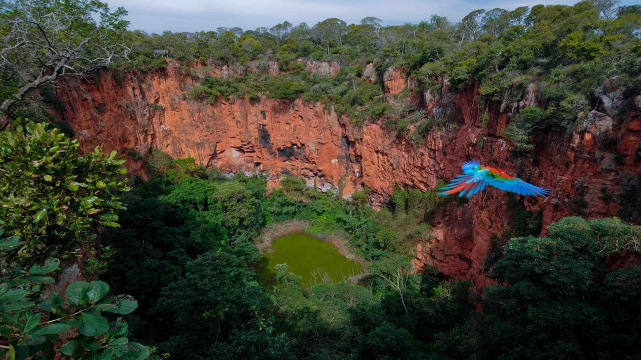 Buraco Das Araras Ecotour foto 3