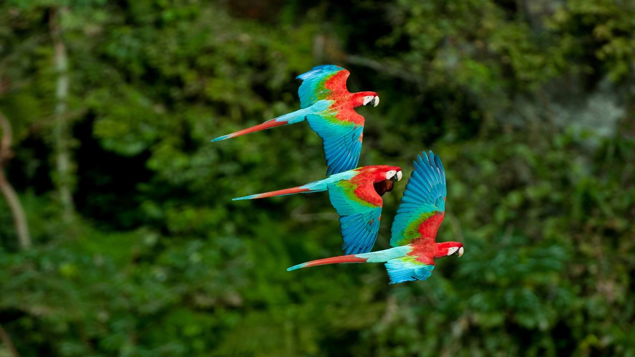 Buraco Das Araras Ecotour foto 8