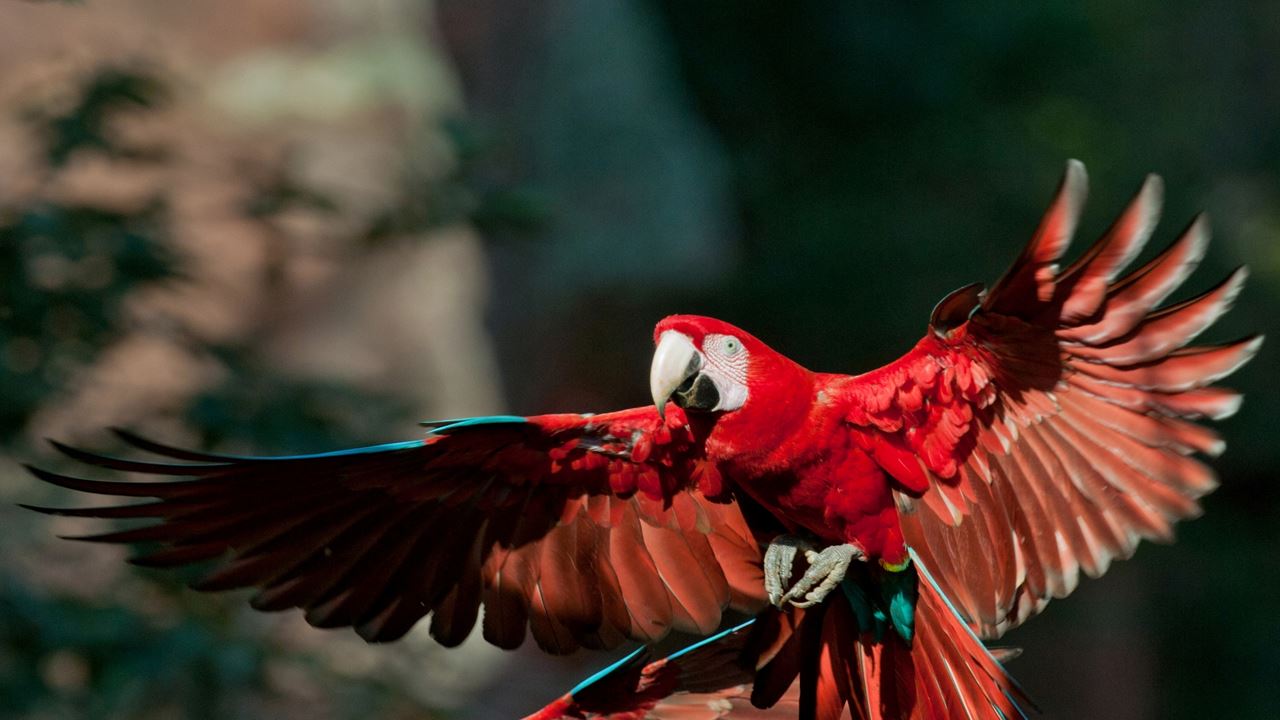 Buraco Das Araras Ecotour foto 7