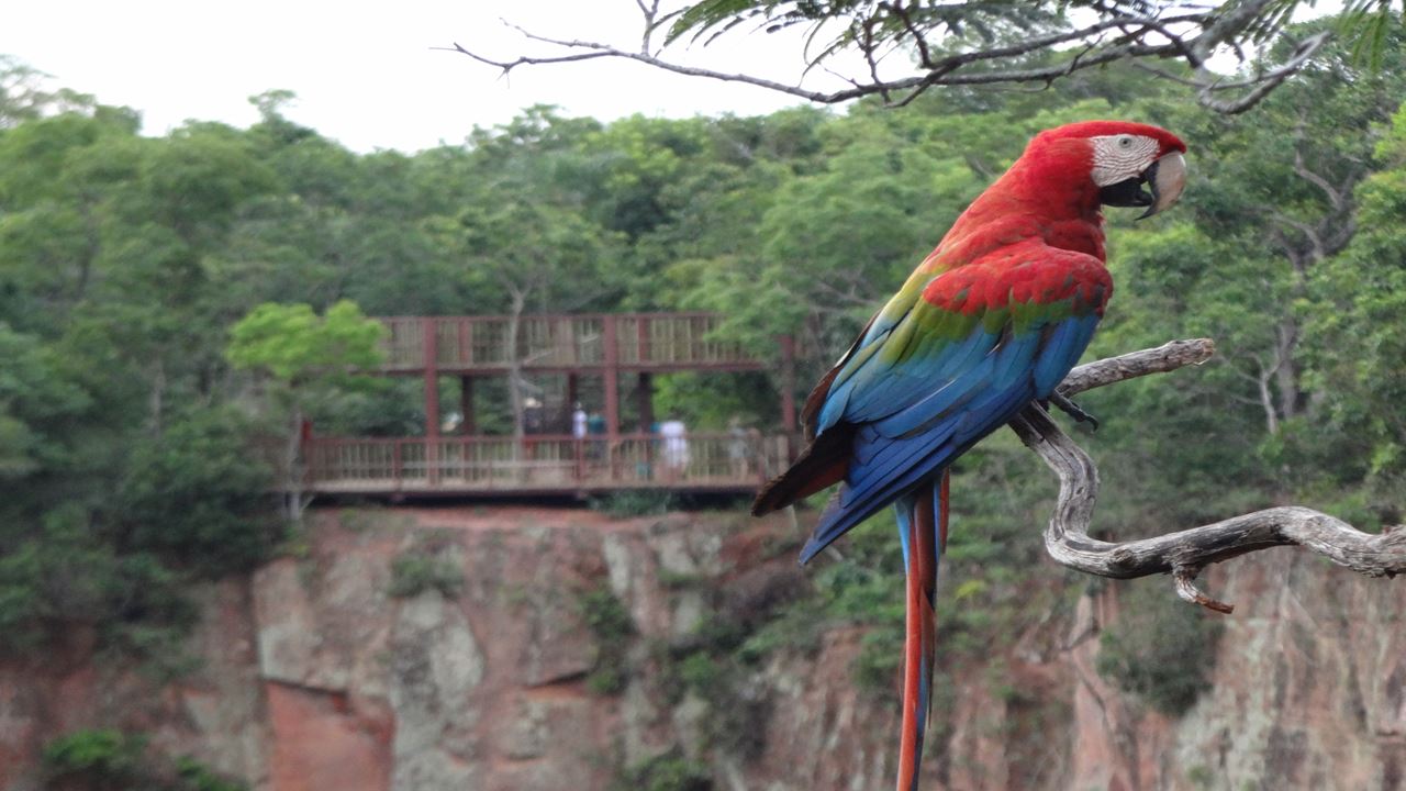 Buraco Das Araras Ecotour foto 1