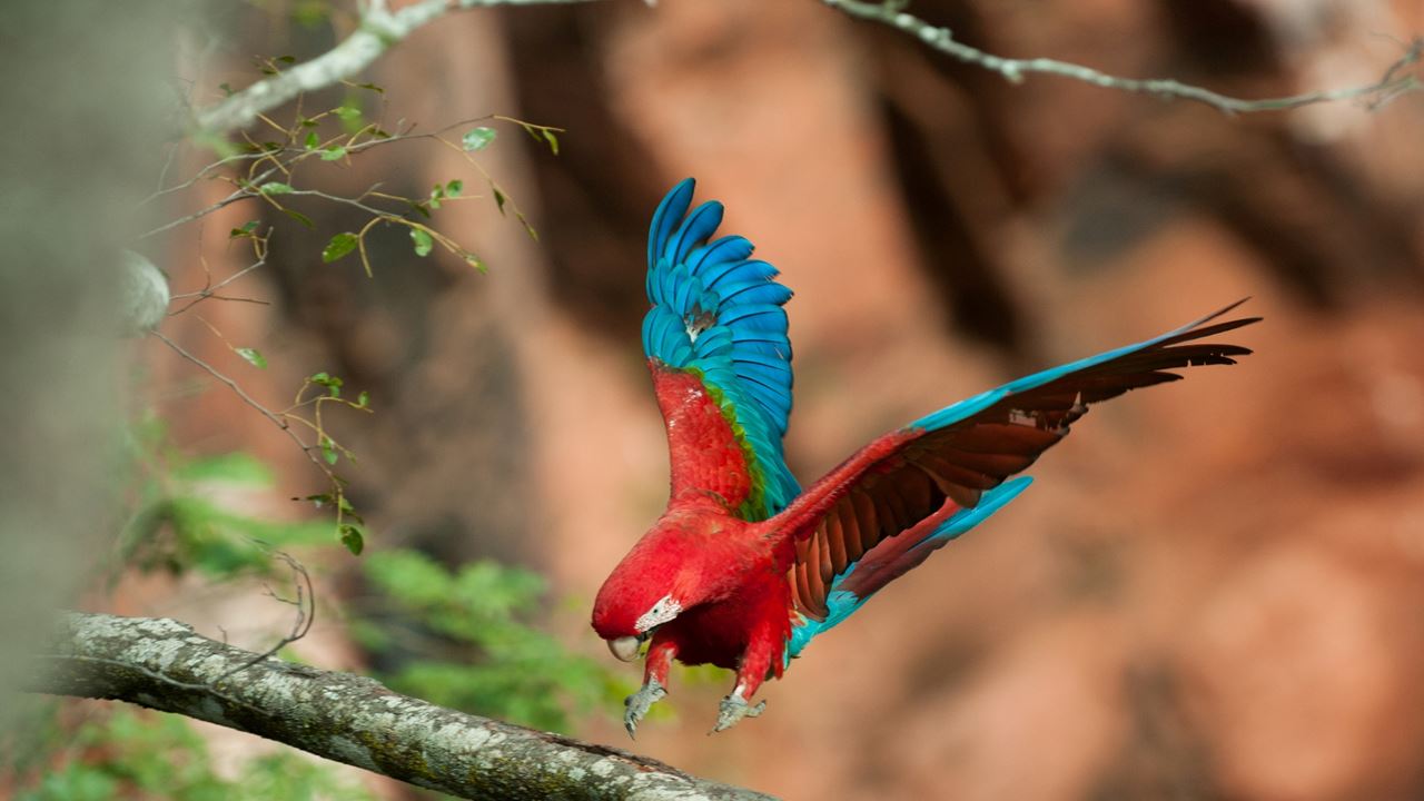 Buraco Das Araras Ecotour foto 6