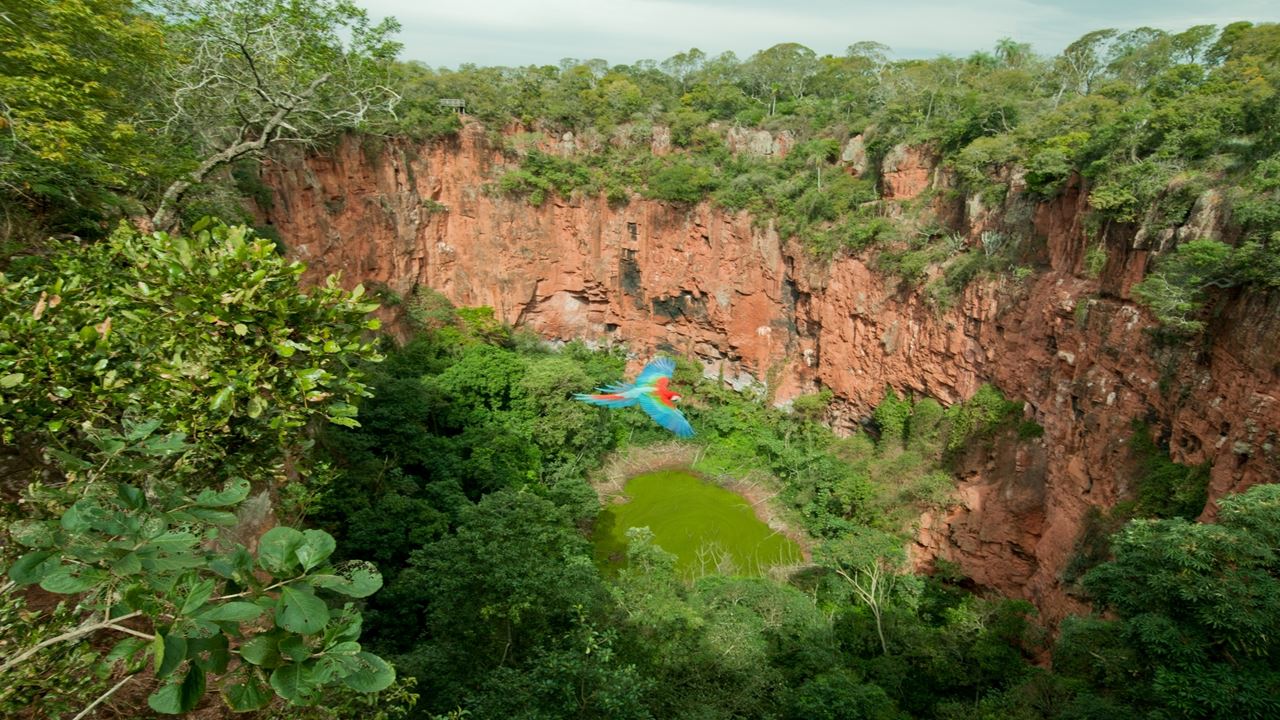 Buraco Das Araras Ecotour foto 9