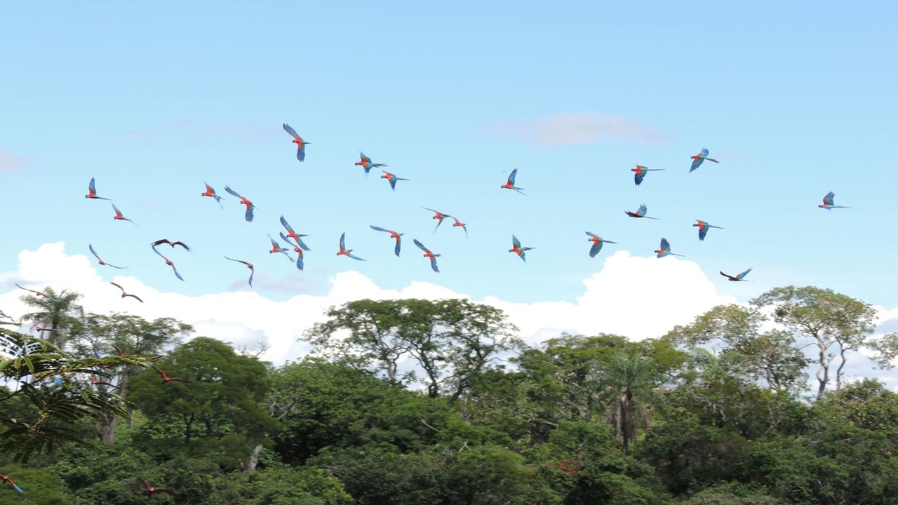 Buraco Das Araras Ecotour foto 2