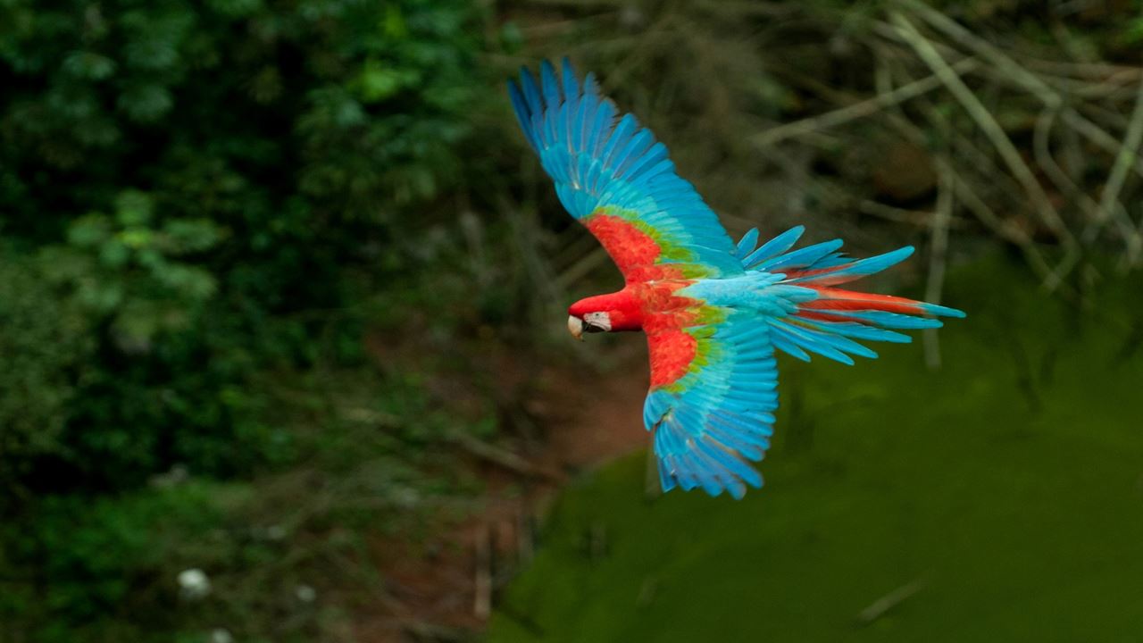 Buraco Das Araras Ecotour foto 5