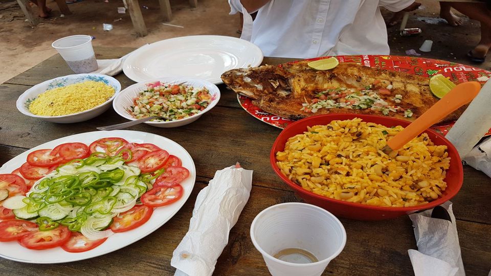 Anavilhanas Archipelago Walking foto 6