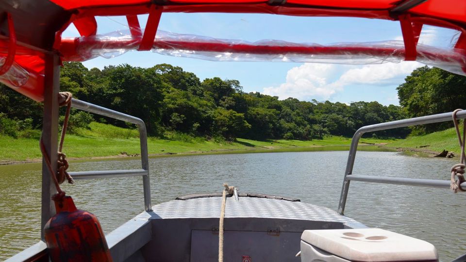 Anavilhanas Archipelago Walking foto 5