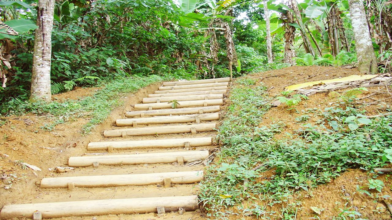 Caminho Do Ouro Hike From Paraty Cunha foto 5