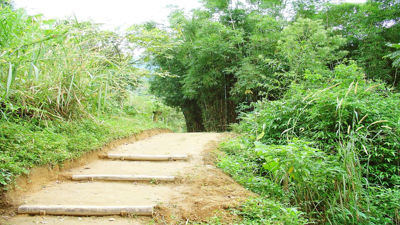 Caminho Do Ouro Hike From Paraty Cunha foto 7