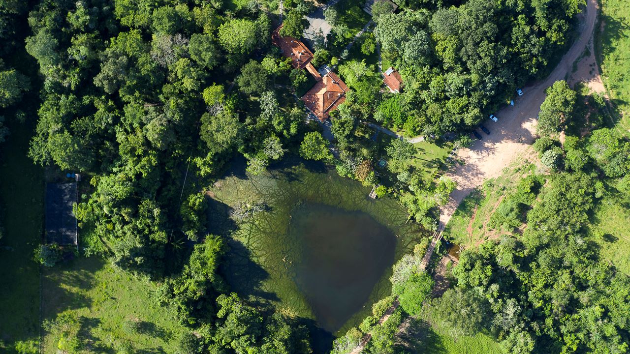 Ecotour Cachoeira Da Boca Da Onca foto 3