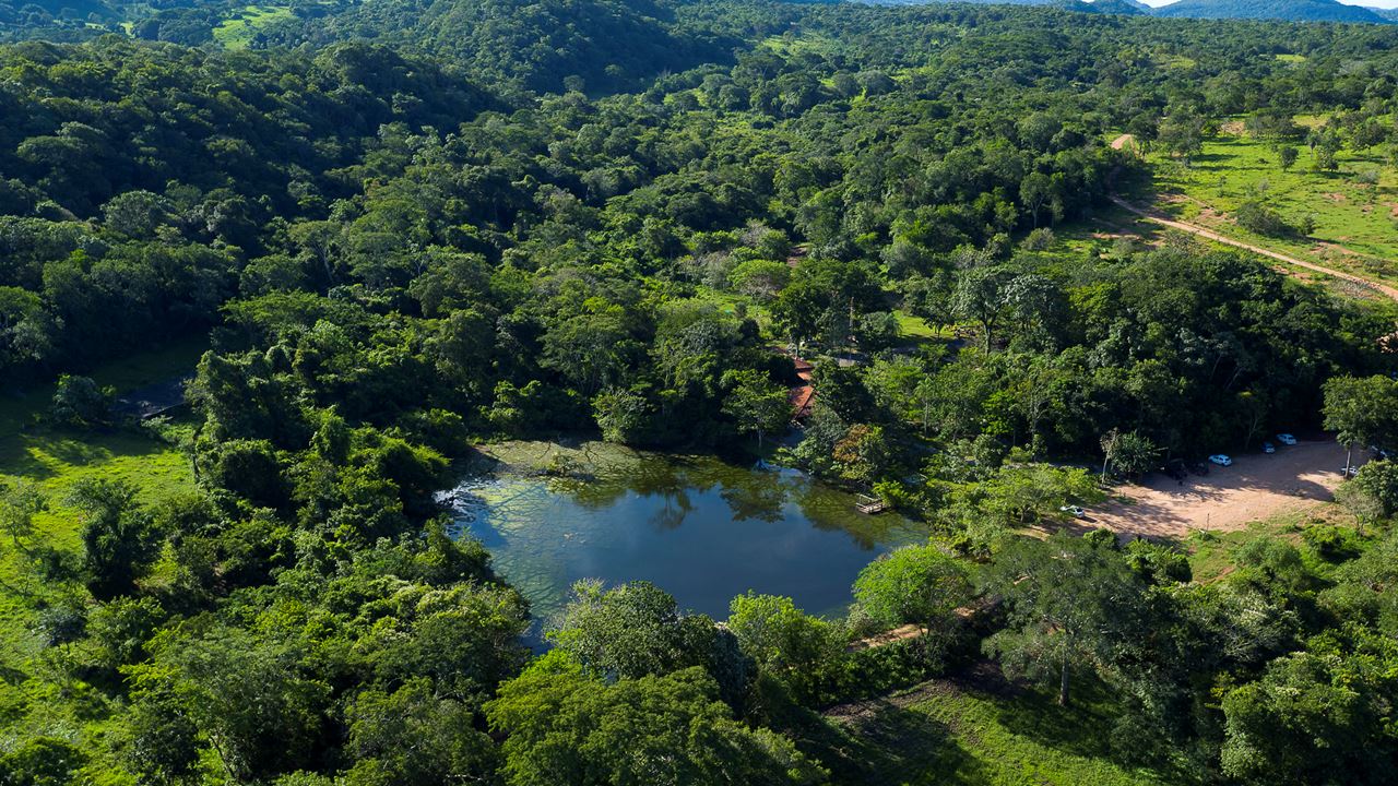 Ecotour Cachoeira Da Boca Da Onca foto 4