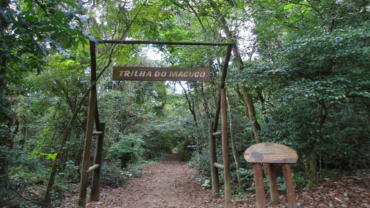 Cataratas Brasileiras Com Macuco Safari foto 4