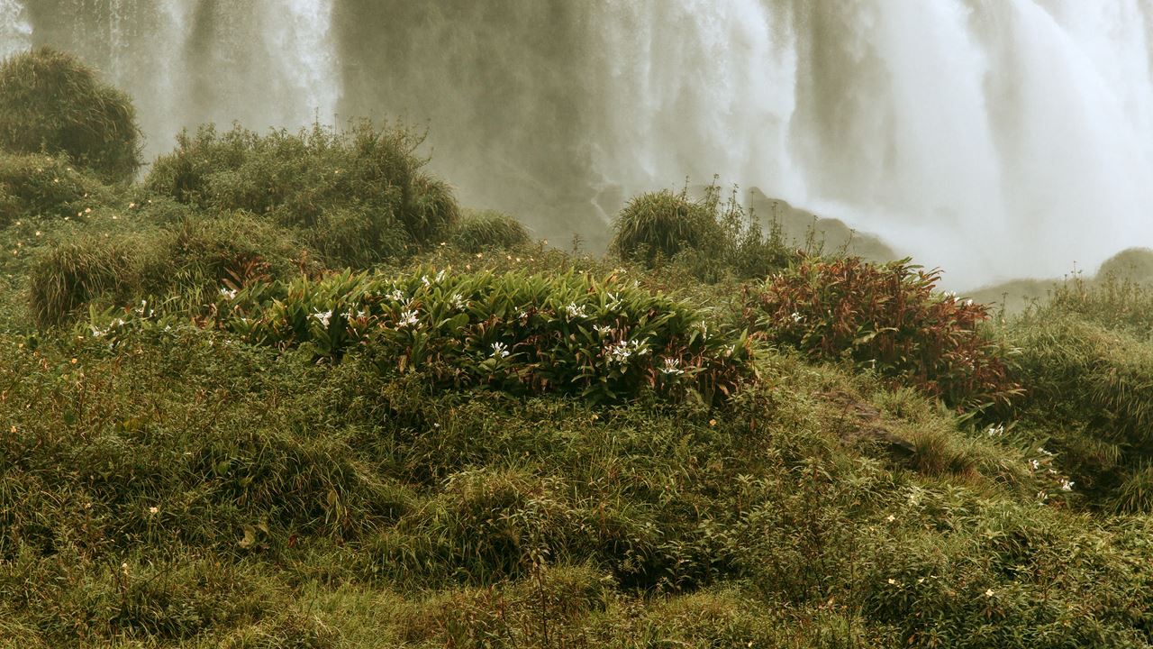 Cataratas Brasileiras Com Macuco Safari foto 6