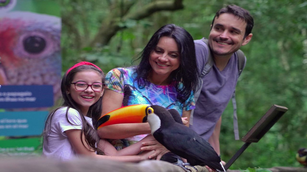 Cataratas Brasileiras Con Parque De Las Aves foto 5