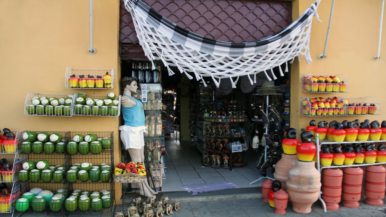 City Tour Em Aracaju foto 5