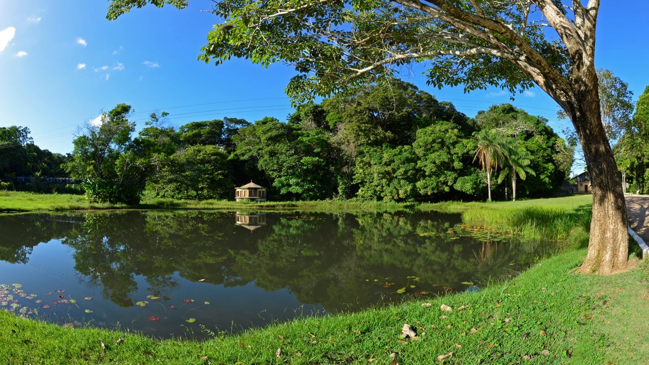 City Tour Joao Pessoa foto 6