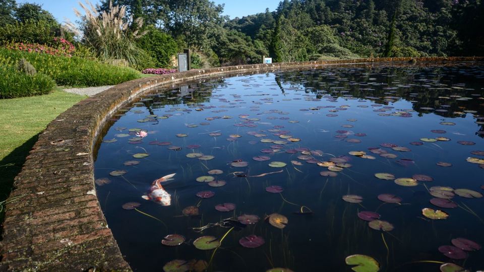 City Tour Through Campos Do Jordao, Brazilian Switzerland foto 9