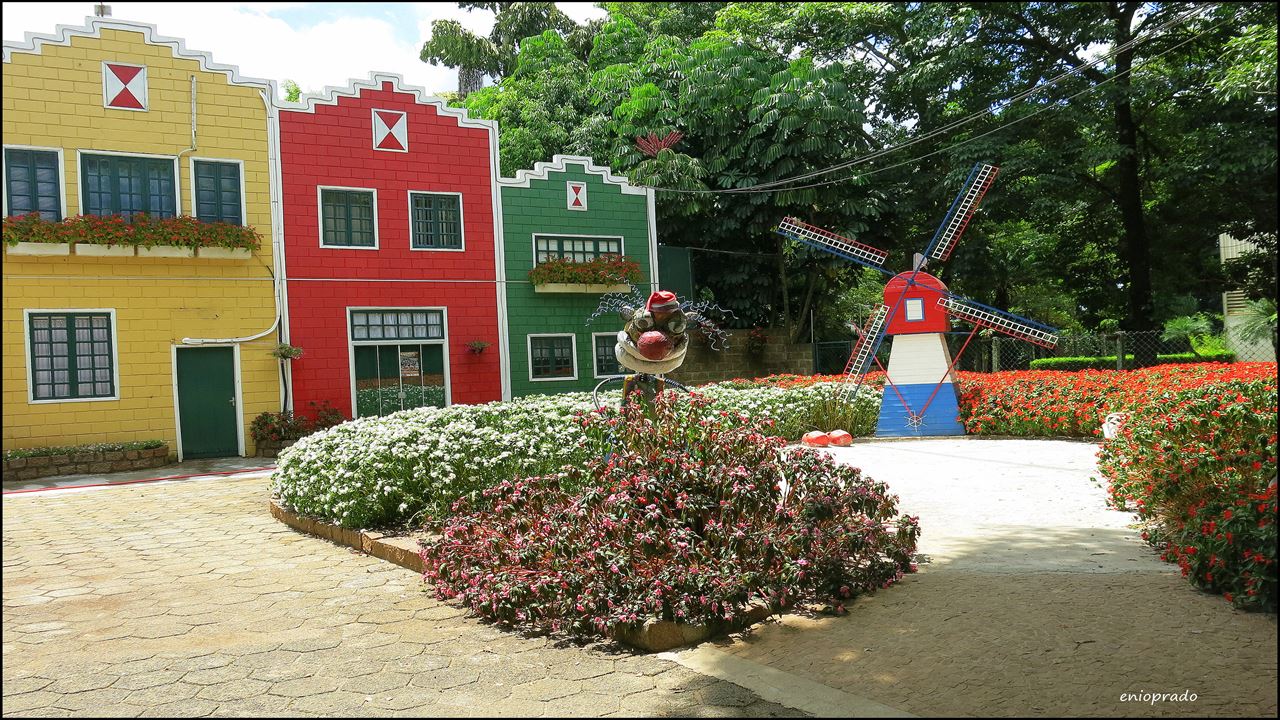 City Tour Por Holambra La Ciudad De Las Flores foto 6