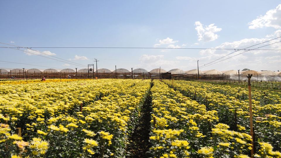 City Tour Of Holambra, The City Of Flowers foto 3