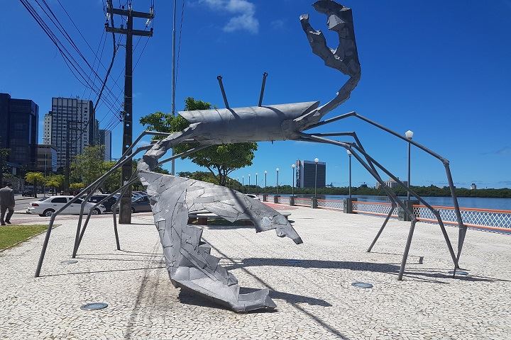 City Tour Do Recife E Museu Ricardo Brennand foto 6