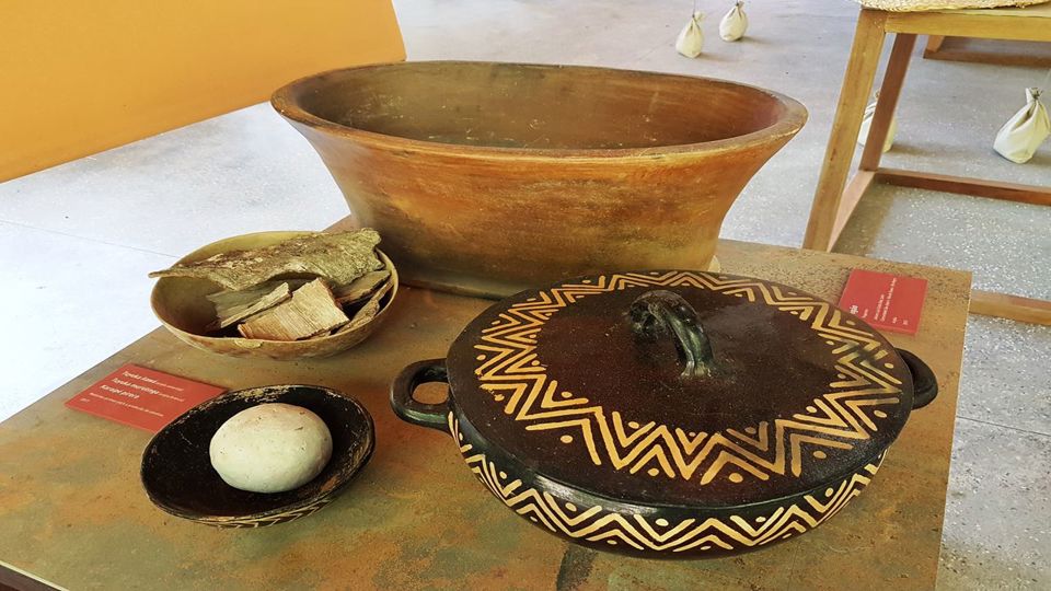 Amazon Natural Museums Combo (Inpa And Musa)
 foto 2