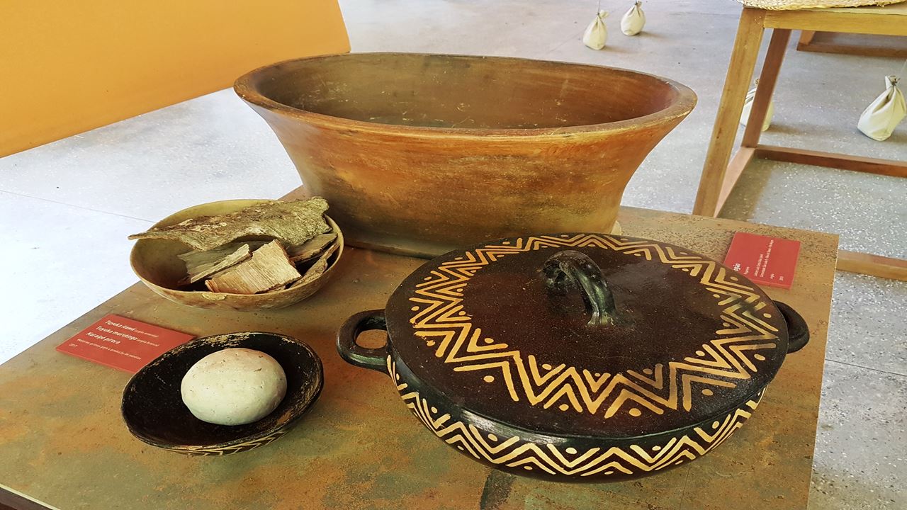 Amazon Natural Museums Combo (Inpa And Musa)
(1)