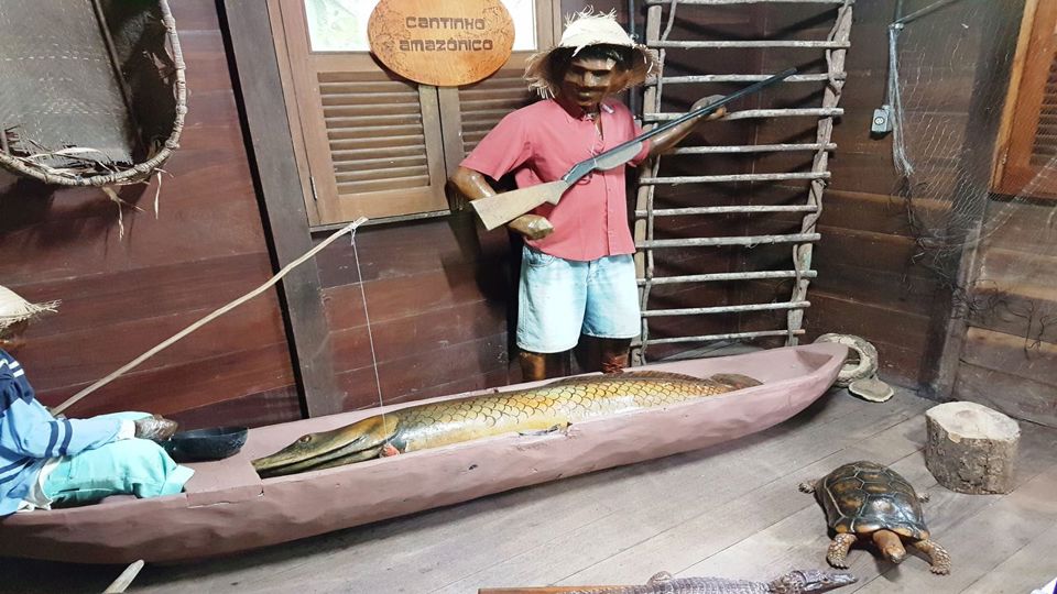 Amazon Natural Museums Combo (Inpa And Musa)
 foto 3