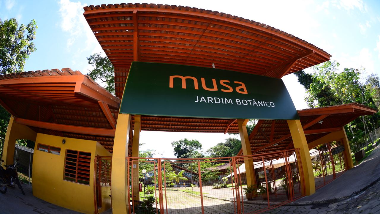 Amazon Natural Museums Combo (Inpa And Musa)
(5)