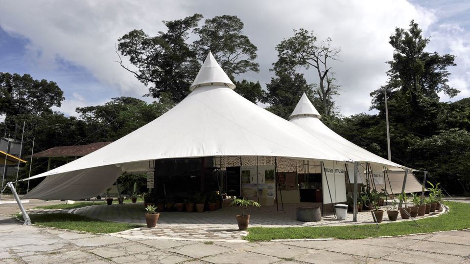 Amazon Natural Museums Combo (Inpa And Musa)
 foto 9