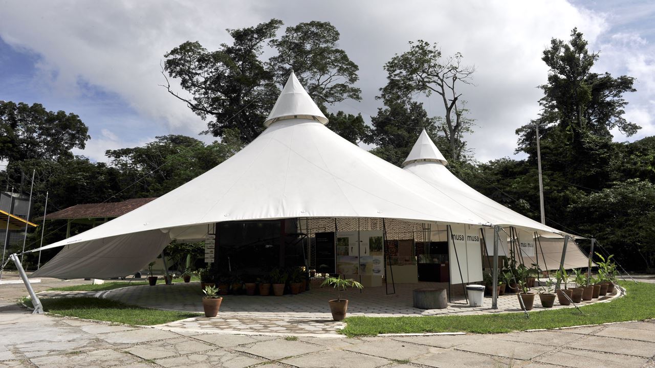 Amazon Natural Museums Combo (Inpa And Musa)
(8)