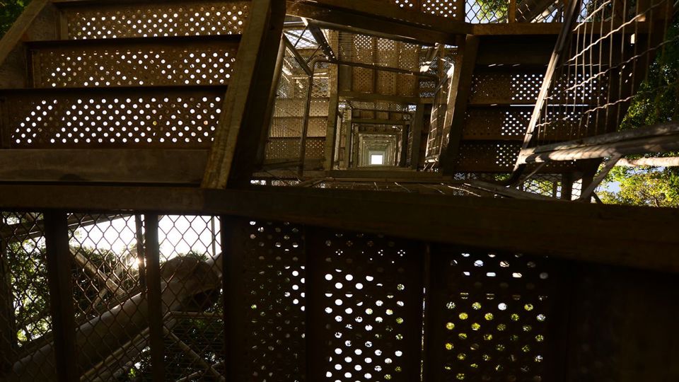 Amazon Natural Museums Combo (Inpa And Musa)
 foto 7