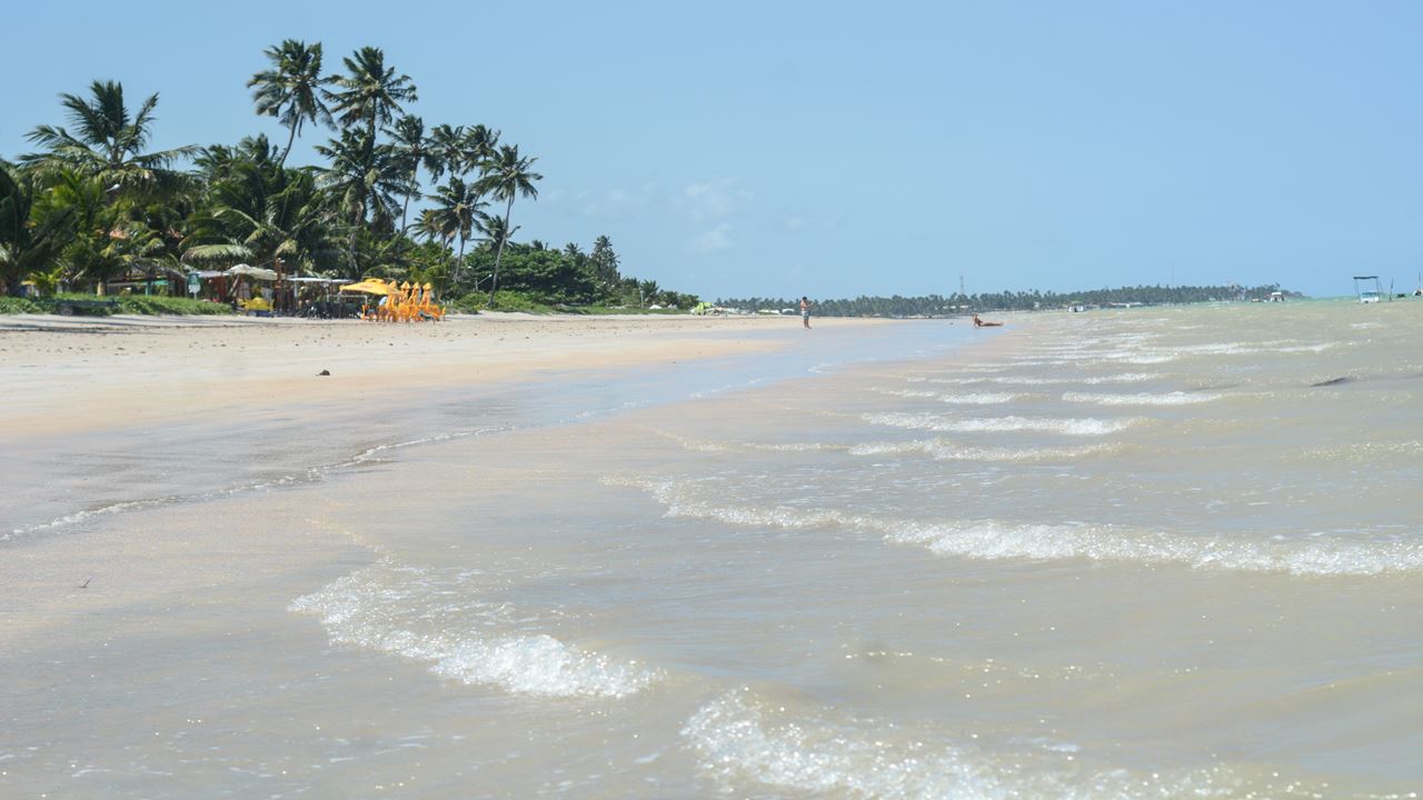 Beach Day In Maragogi From Recife foto 3
