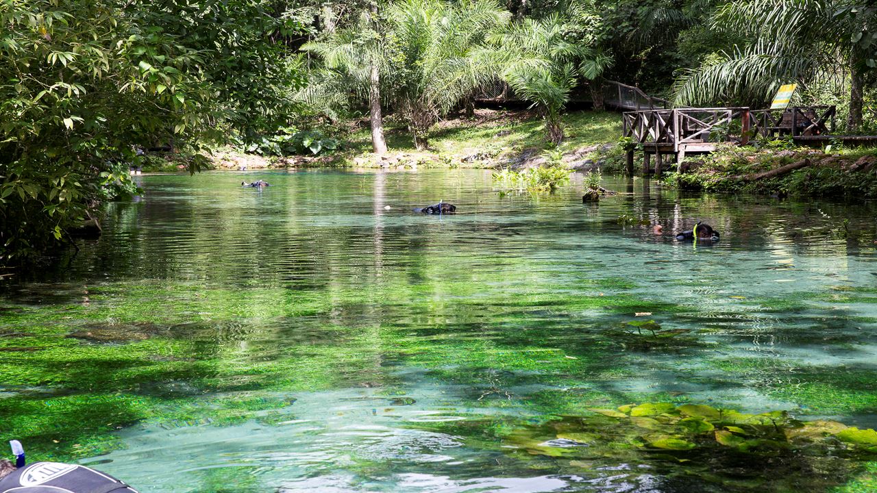 Dia En Balneario Do Sol foto 6