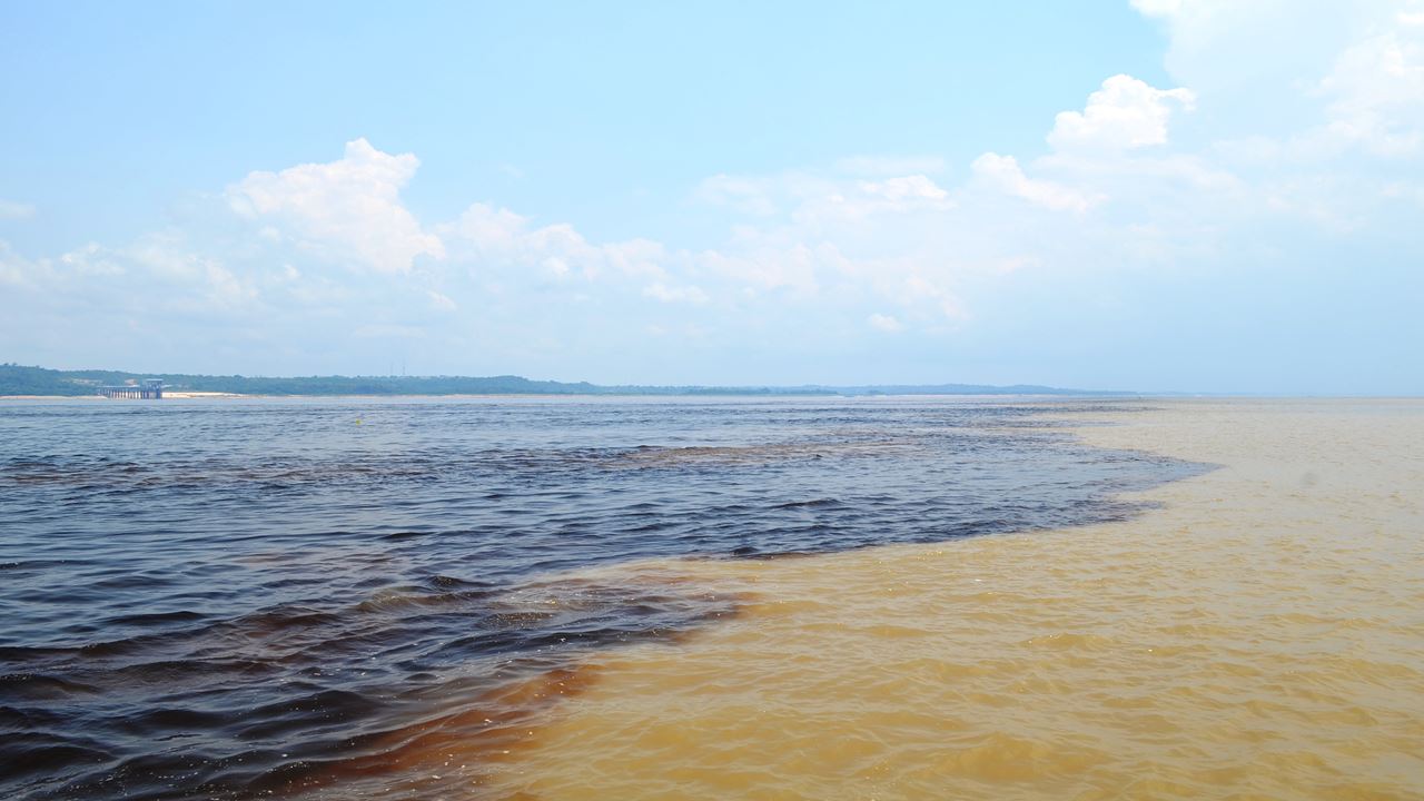 Encounter Of The Waters + Swim With Dolphins + Visit Aboriginal Village (5)