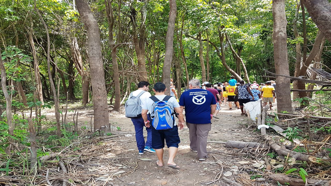 Encounter Of The Waters + Swim With Dolphins + Visit Aboriginal Village (3)