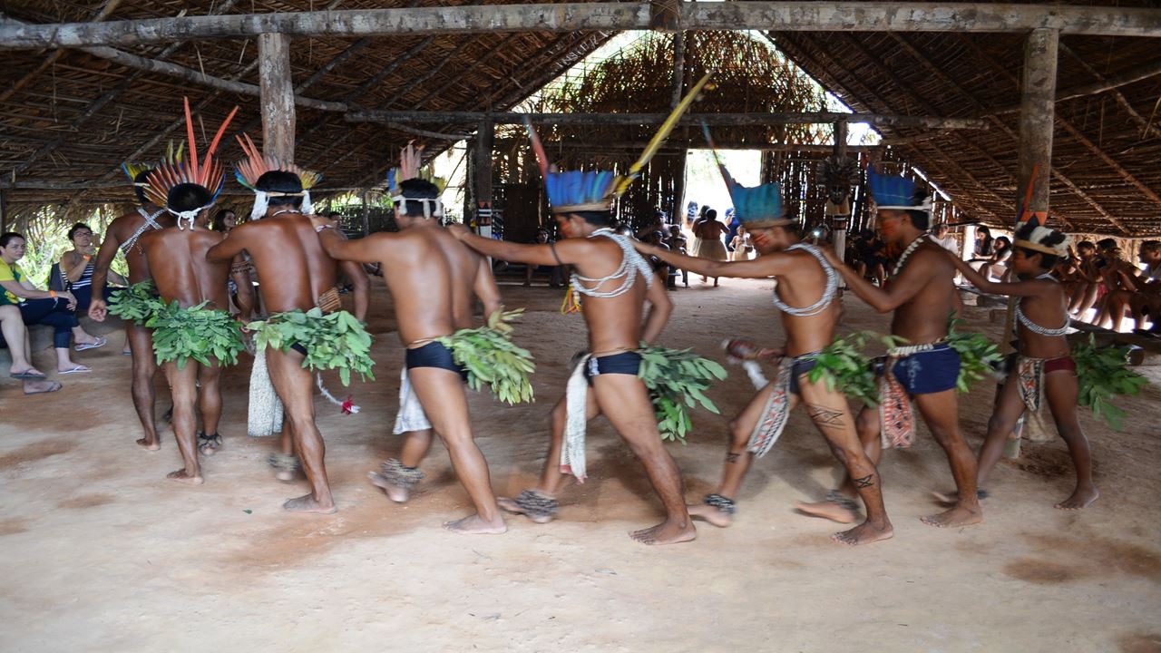 Encounter Of The Waters + Swim With Dolphins + Visit Aboriginal Village (4)