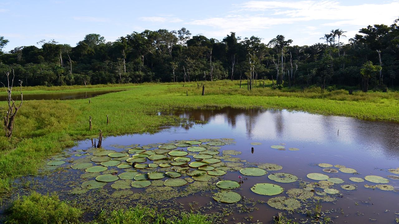 Encounter Of The Waters + Swim With Dolphins + Visit Aboriginal Village (2)
