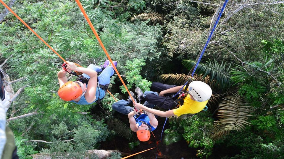Tree Climbing In Amazon
 foto 2