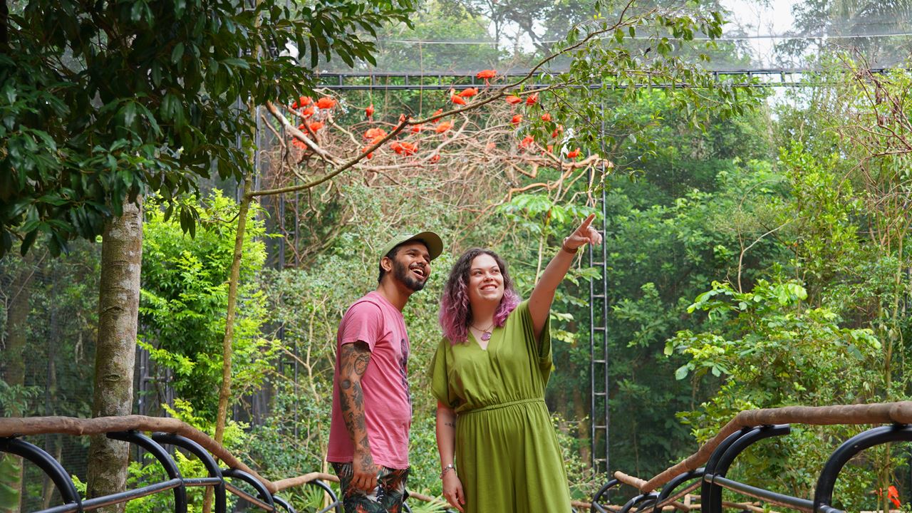 Excursión Al Parque De Las Aves foto 11