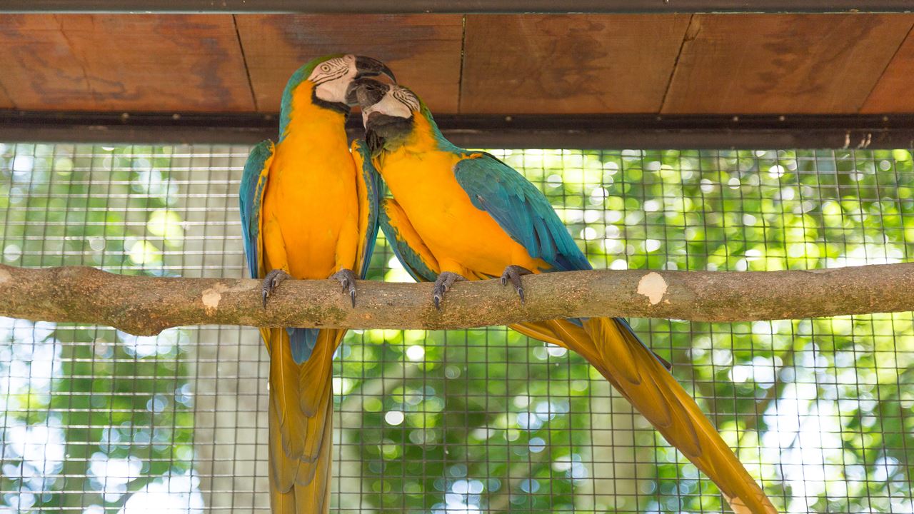 Excursión Al Parque De Las Aves foto 7