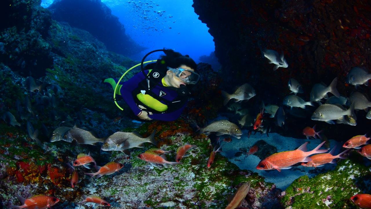 Experiência De Mergulho foto 4