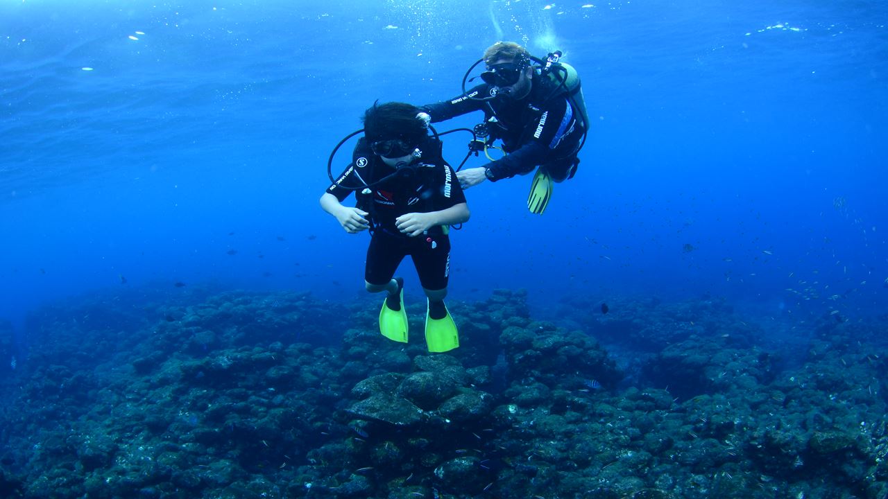 Experiência De Mergulho foto 2