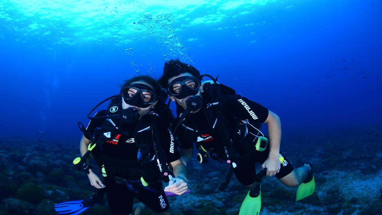 Experiência De Mergulho foto 3