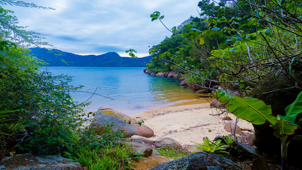 Islas Paraísicas De Paraty foto 5